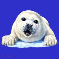 Cute Seal Wildlife Hoodie thumb 7