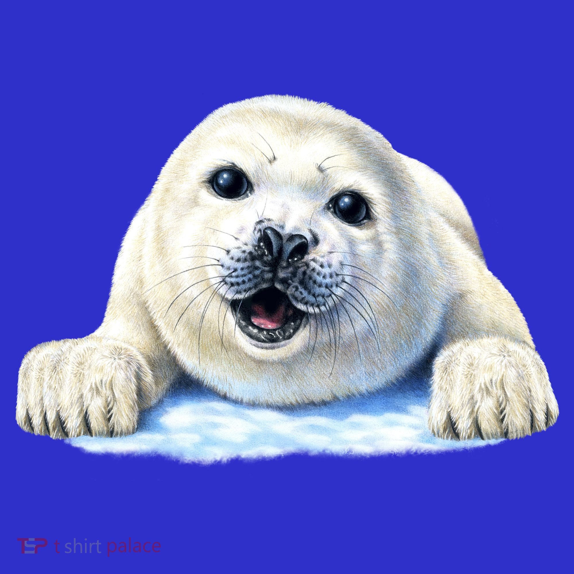 Cute Seal Wildlife Coaster