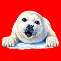 Cute Seal Wildlife Santa Hat thumb 1