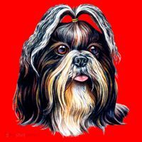 Cute Shih Tzu Santa Hat thumb 1