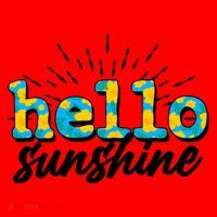 Cute Springy Summery Hello Sunshine Santa Hat thumb 1