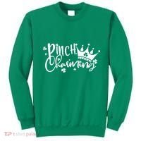 Cute St Patricks Day Pinch Charming Sweatshirt thumb 0