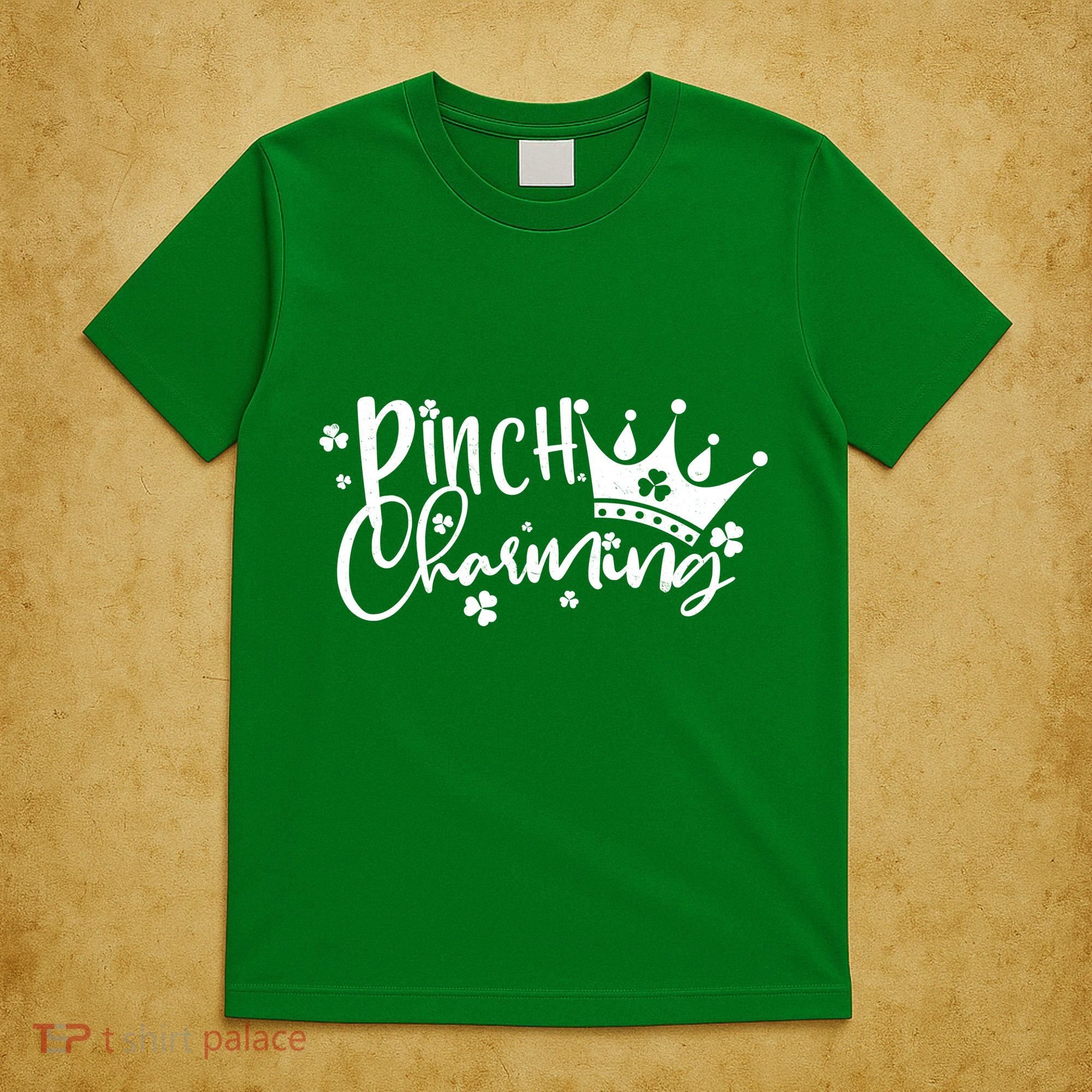 Cute St Patricks Day Pinch Charming T-Shirt