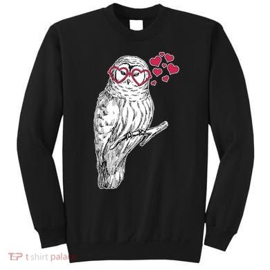 Cute Valentine's Day Heart Glasses Owl Love Sweatshirt