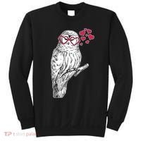 Cute Valentine's Day Heart Glasses Owl Love Sweatshirt thumb 0