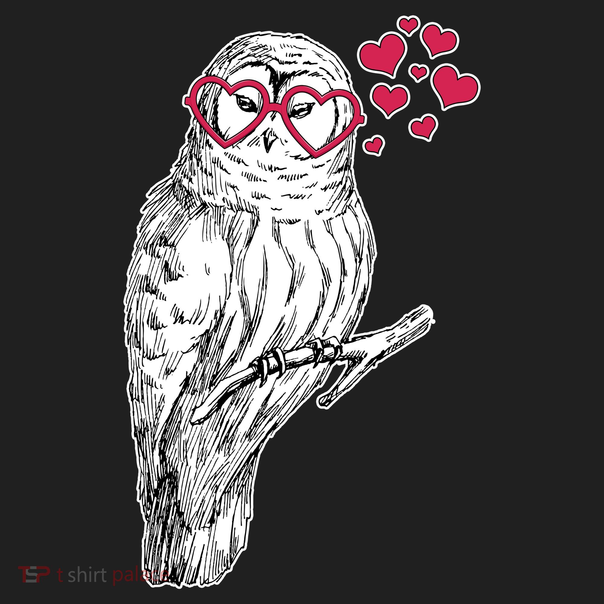 Cute Valentine's Day Heart Glasses Owl Love Beanie