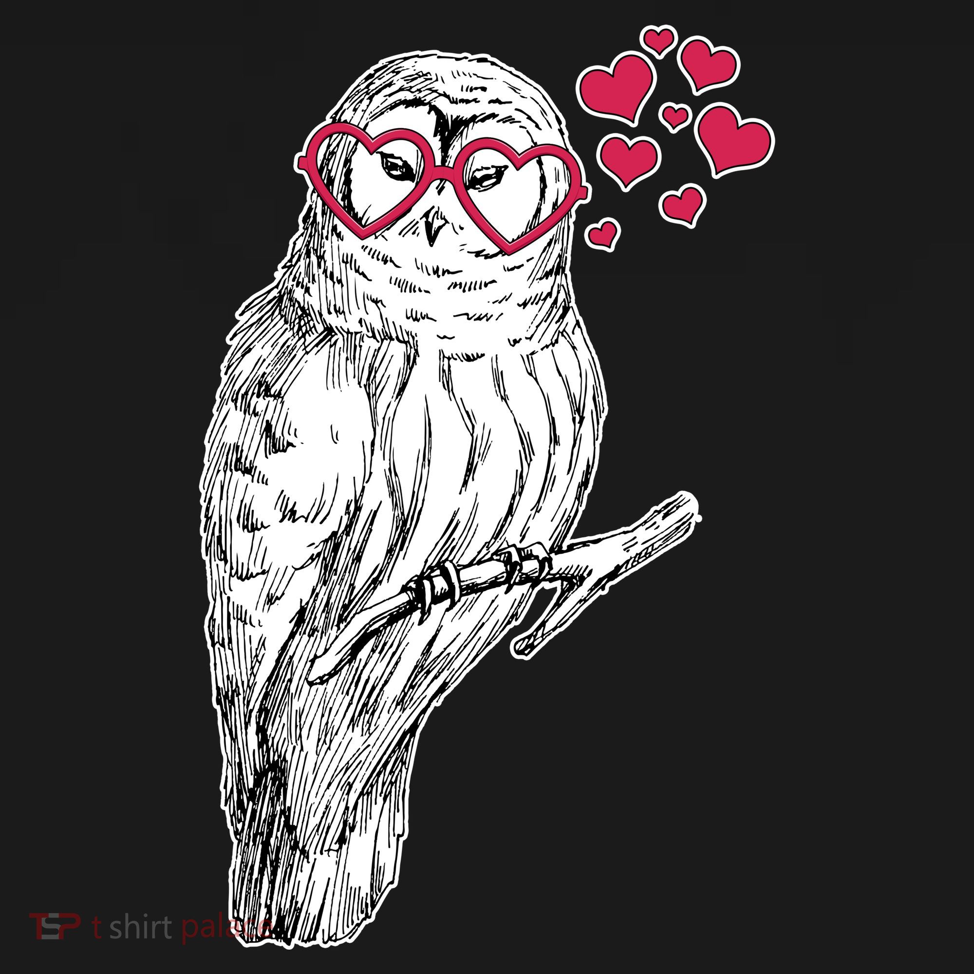 Cute Valentine's Day Heart Glasses Owl Love Coaster