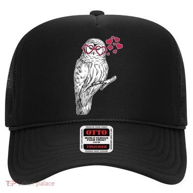 Cute Valentine's Day Heart Glasses Owl Love Hat