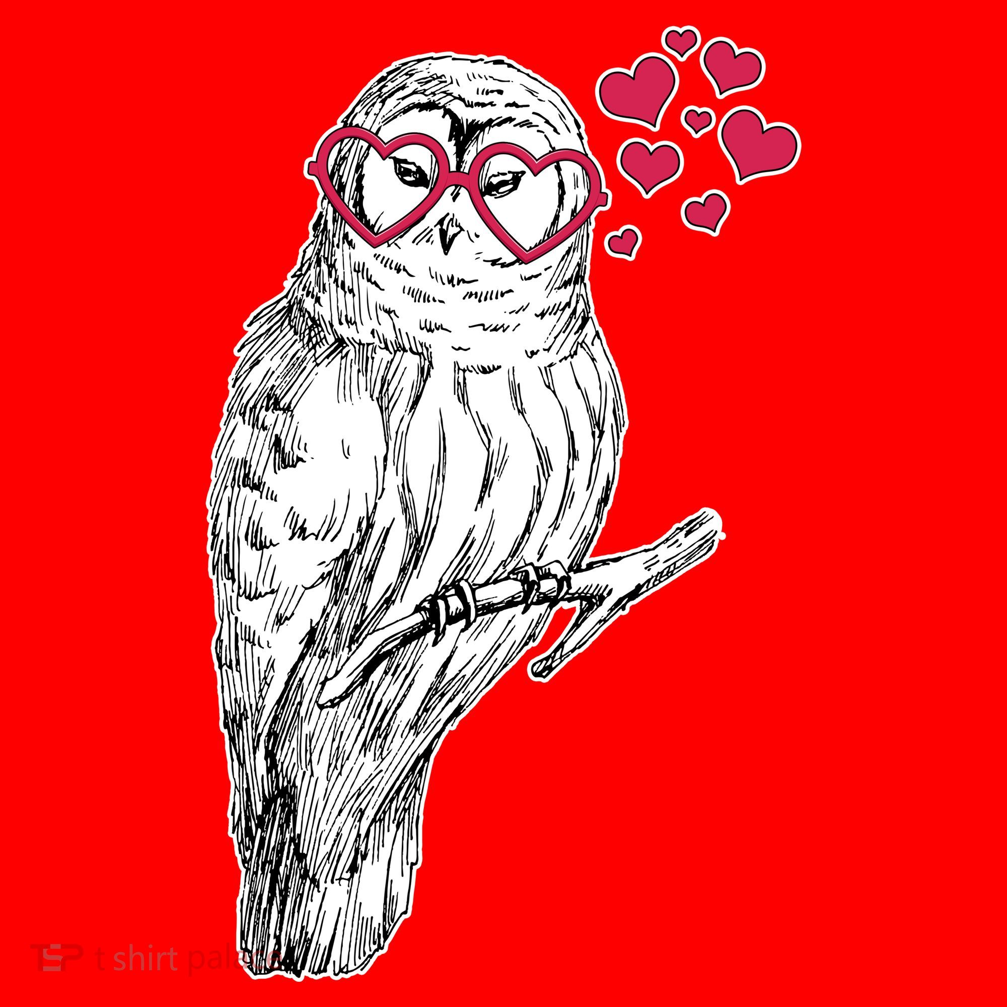 Cute Valentine's Day Heart Glasses Owl Love Santa Hat
