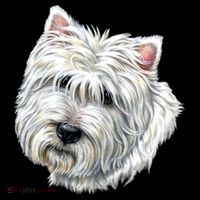 Cute Westie Dog Bucket Hat thumb 4