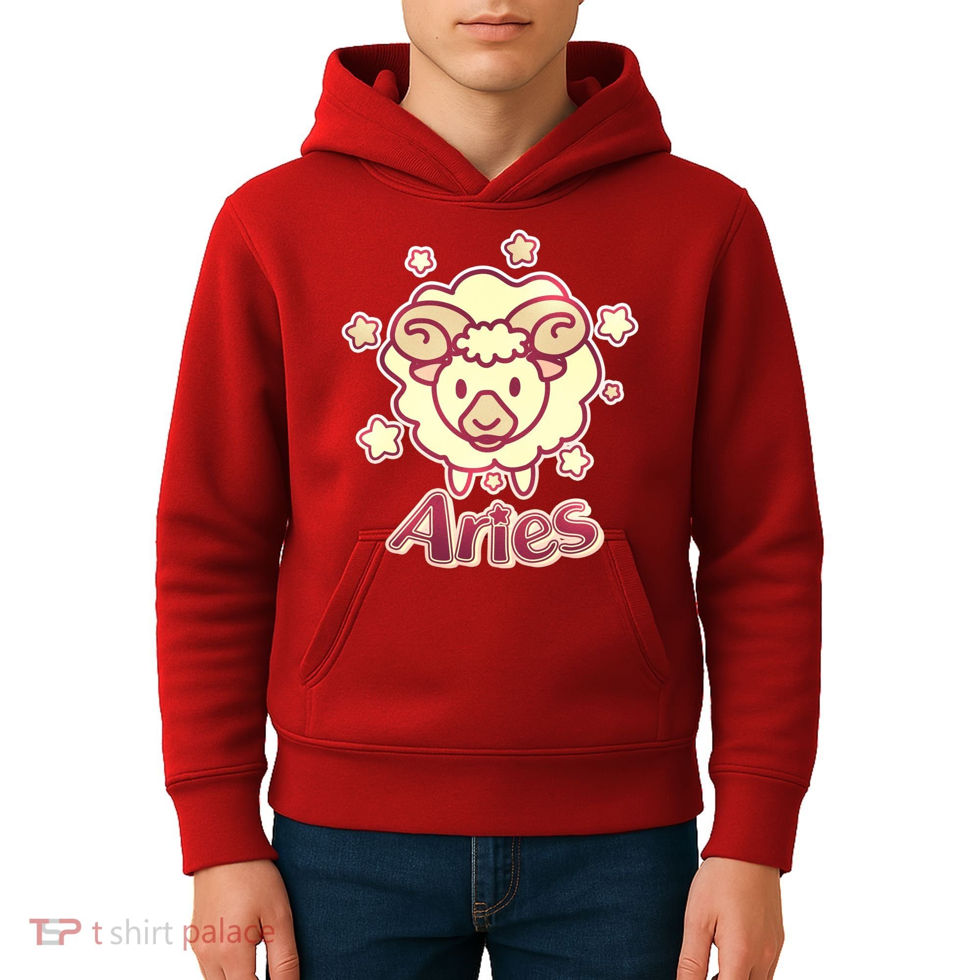 Cute Zodiac Aries Ram Kids Hoodie