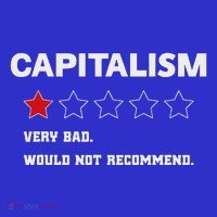 Capitalism Very Bad Would Not Recommend One Star Kids Sweatshirt thumb 2