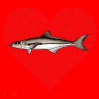 Cobia Valentines Day Fish Love Fingerprint Gift Santa Hat thumb 1