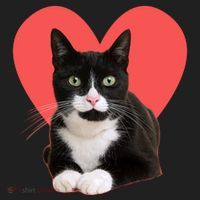 Cute Valentines Day Tuxedo Cat Lover Beanie thumb 2