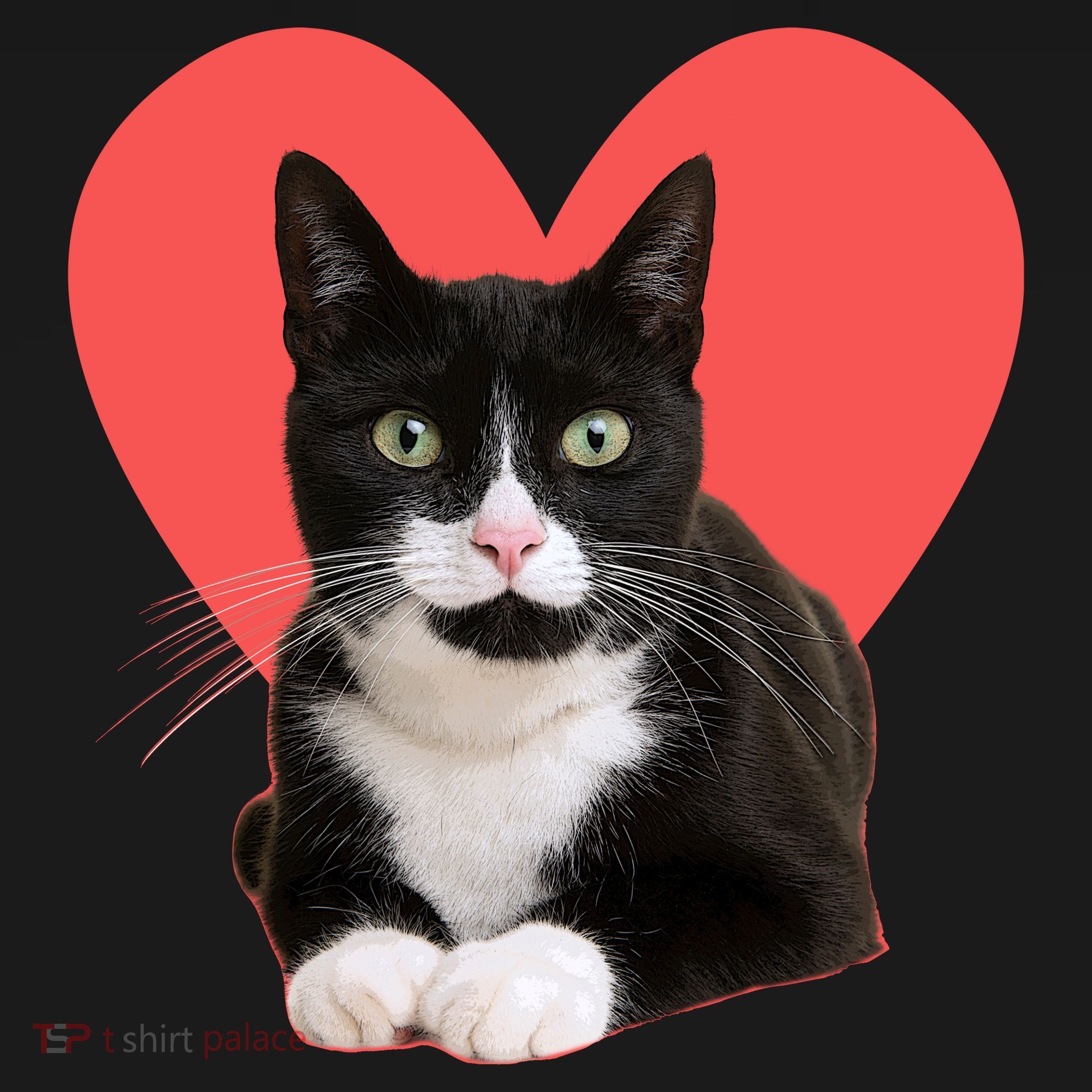 Cute Valentines Day Tuxedo Cat Lover Visor