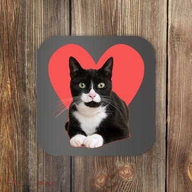 Cute Valentines Day Tuxedo Cat Lover Coaster