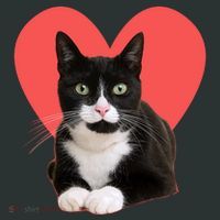 Cute Valentines Day Tuxedo Cat Lover Baby Bodysuit thumb 2