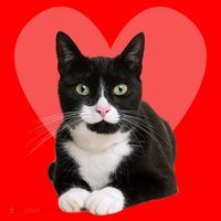 Cute Valentines Day Tuxedo Cat Lover Santa Hat thumb 1