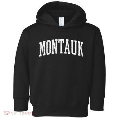 Classic Varsity Distressed Montauk Toddler Hoodie