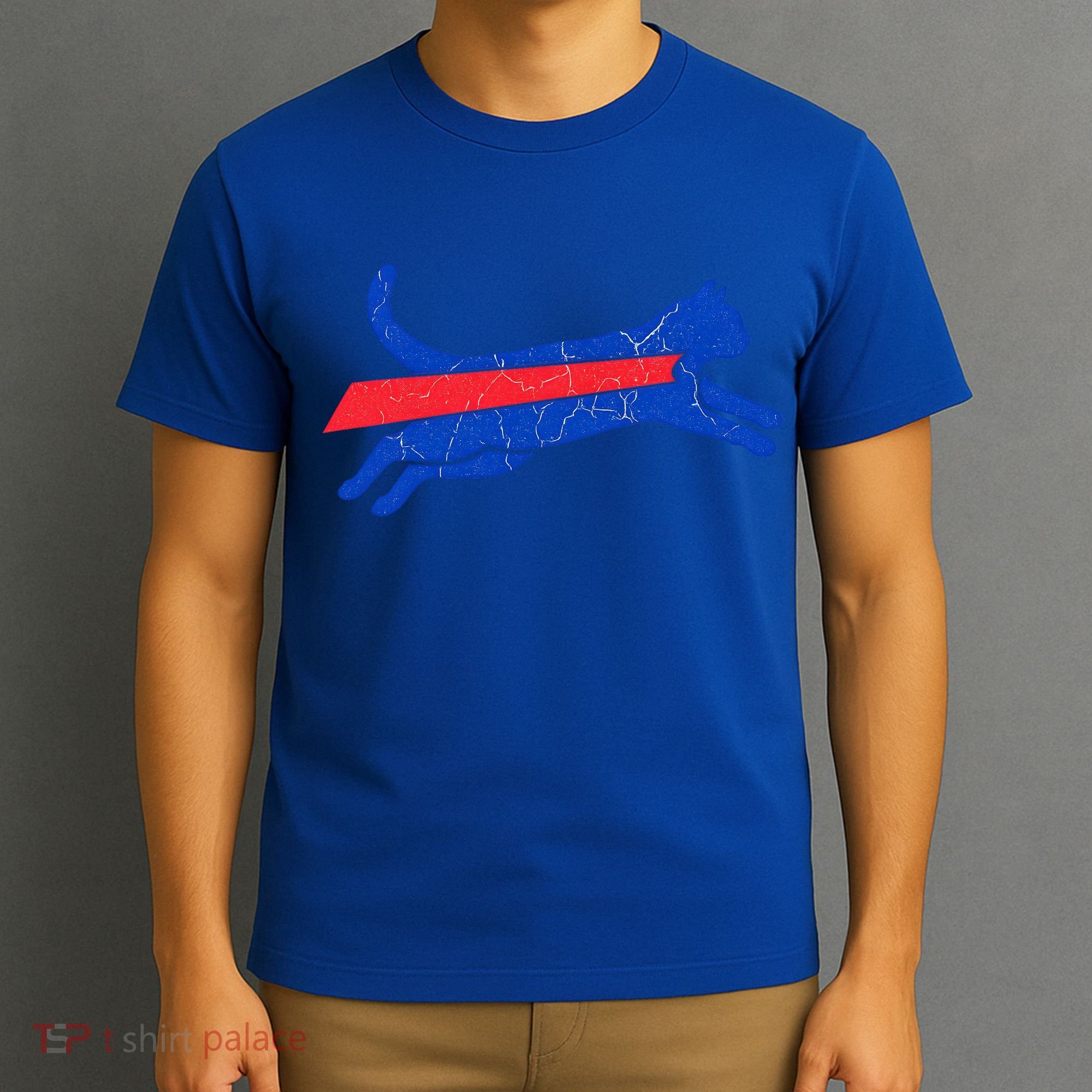 Cat-Bills Vintage Football Funny T-Shirt