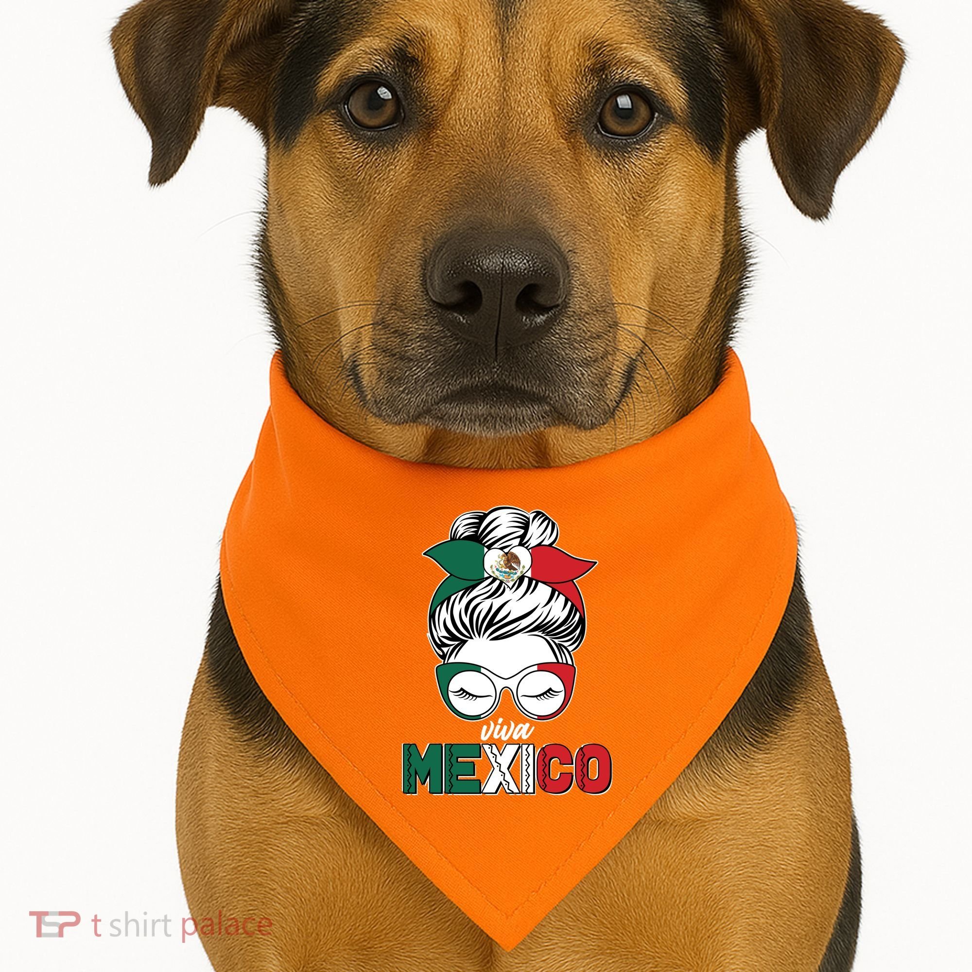 Cute Viva Mexico USA-Made Doggie Bandana