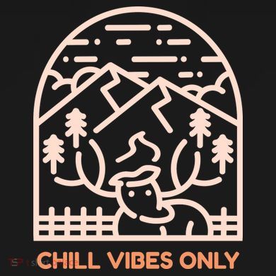 Chill Vibes Only Women's V-Neck T-Shirt
