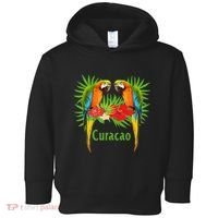 Curacao Vacation Parrots Tropical Flowers Green Palm Beaches Toddler Hoodie thumb 0