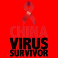 China Virus Survivor Santa Hat thumb 1