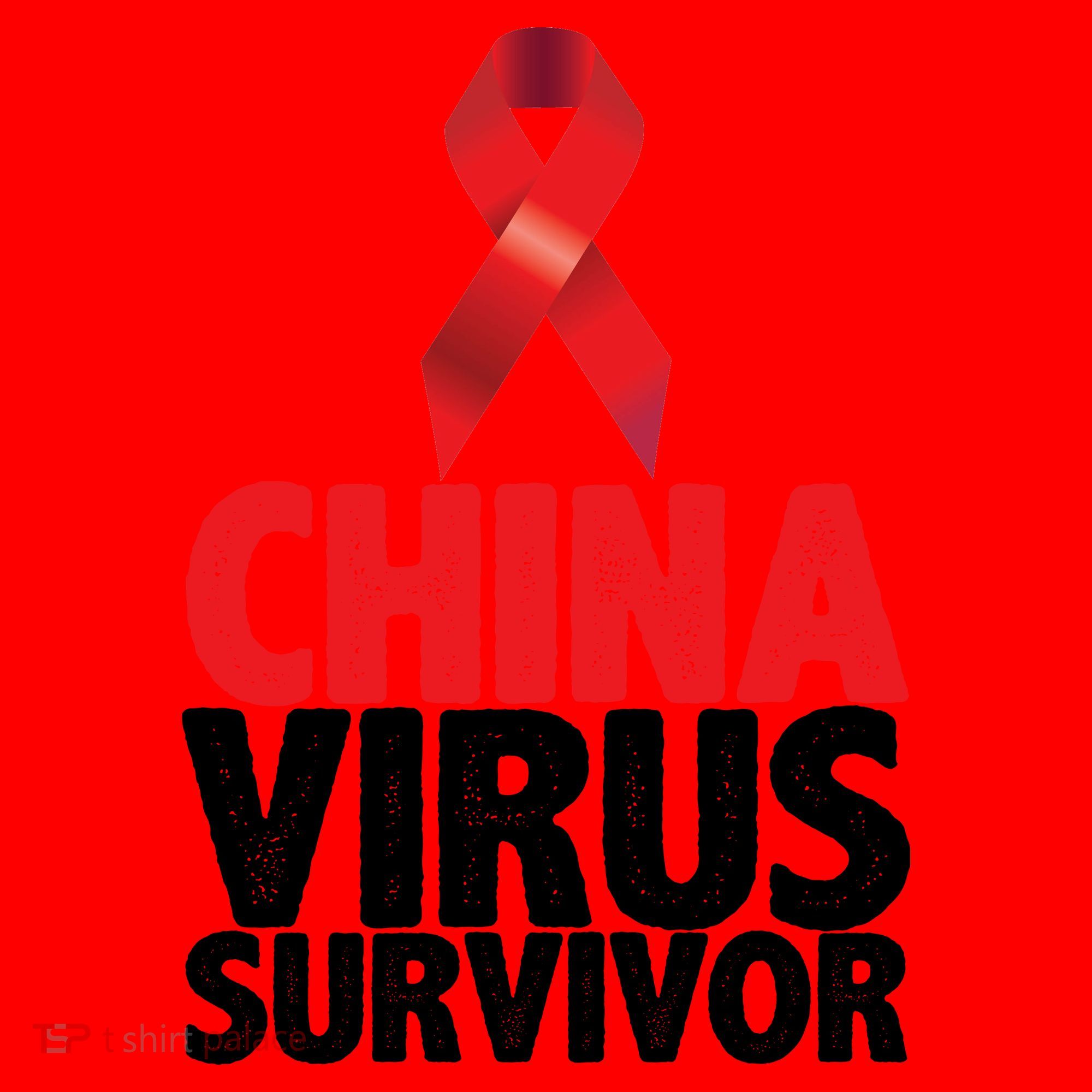 China Virus Survivor Santa Hat