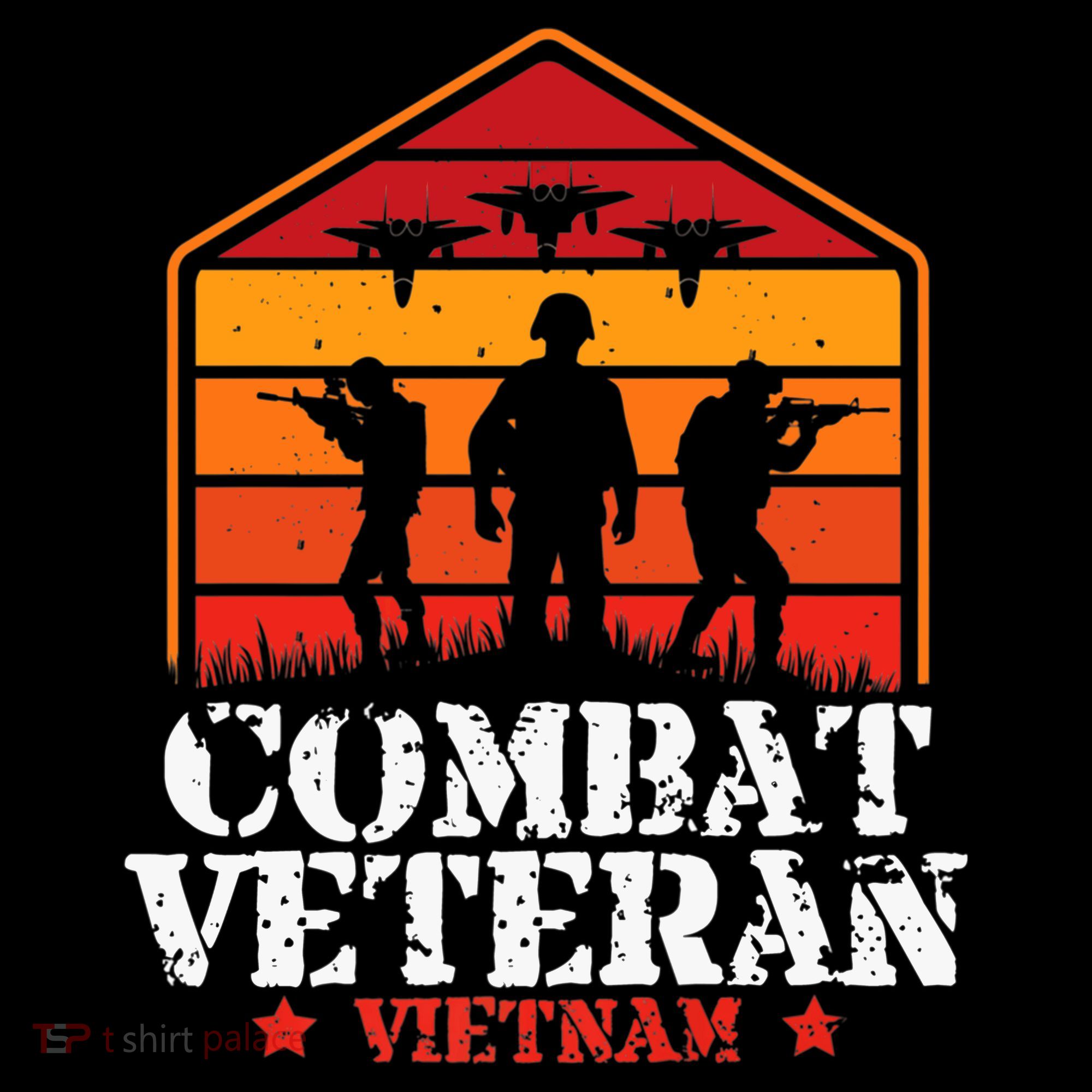 Combat Veteran Vietnam Veterans Day Premium Women's Hoodie