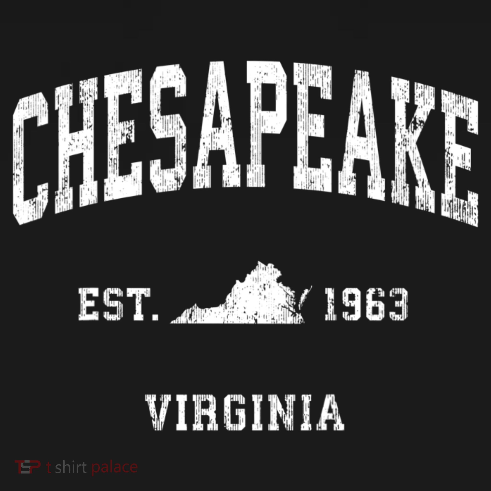 Chesapeake Virginia Va Vintage Athletic T-Shirt