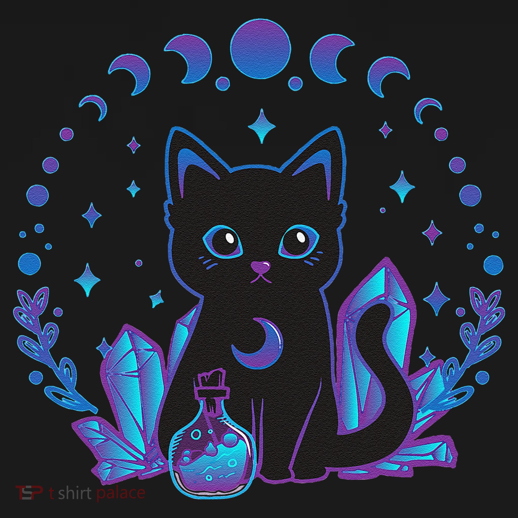 Cute Witchy Black Cat Crystal Alchemy Kawaii Pastel Goth Women's Hoodie