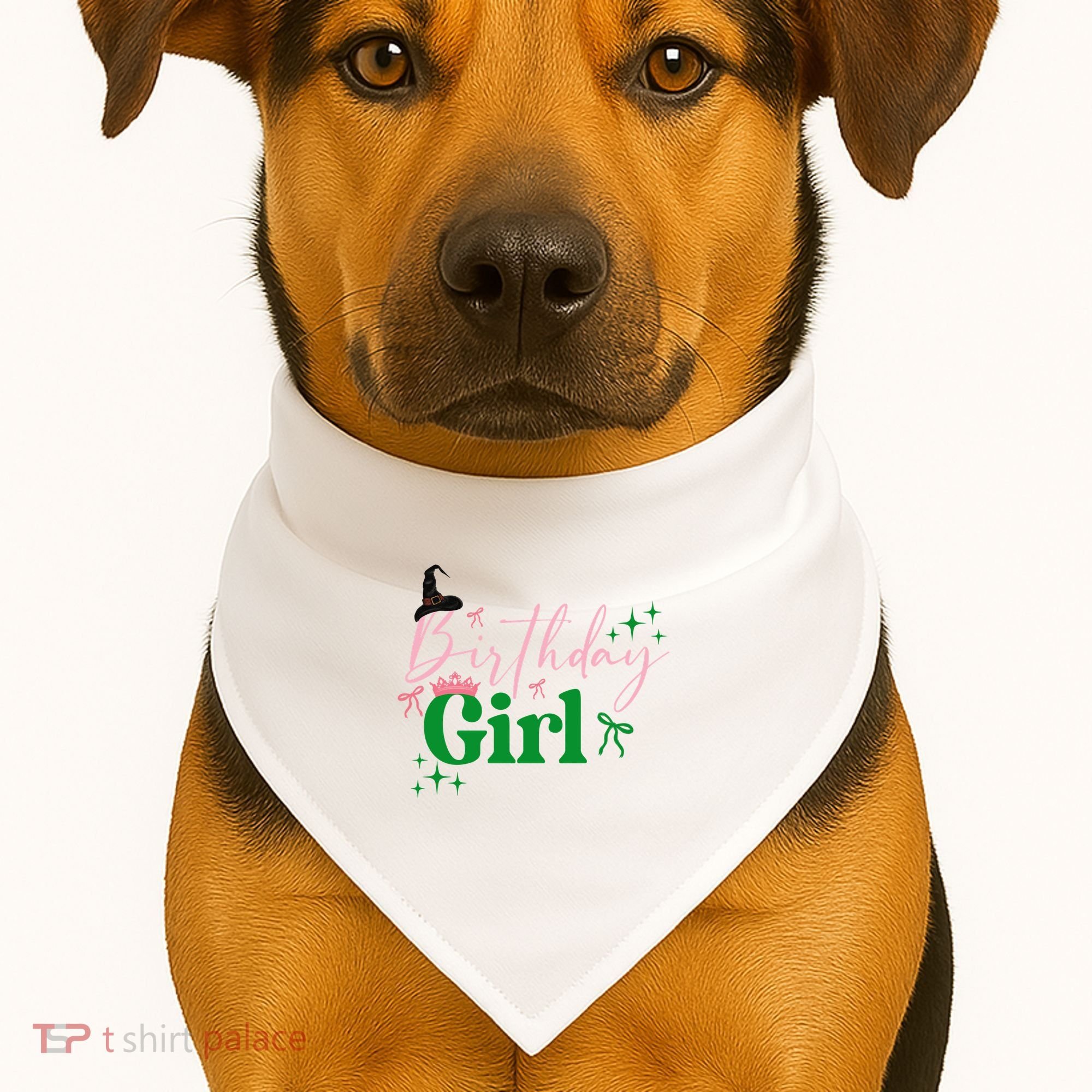 Cute Witch Birthday Girl Pink And Green USA-Made Doggie Bandana