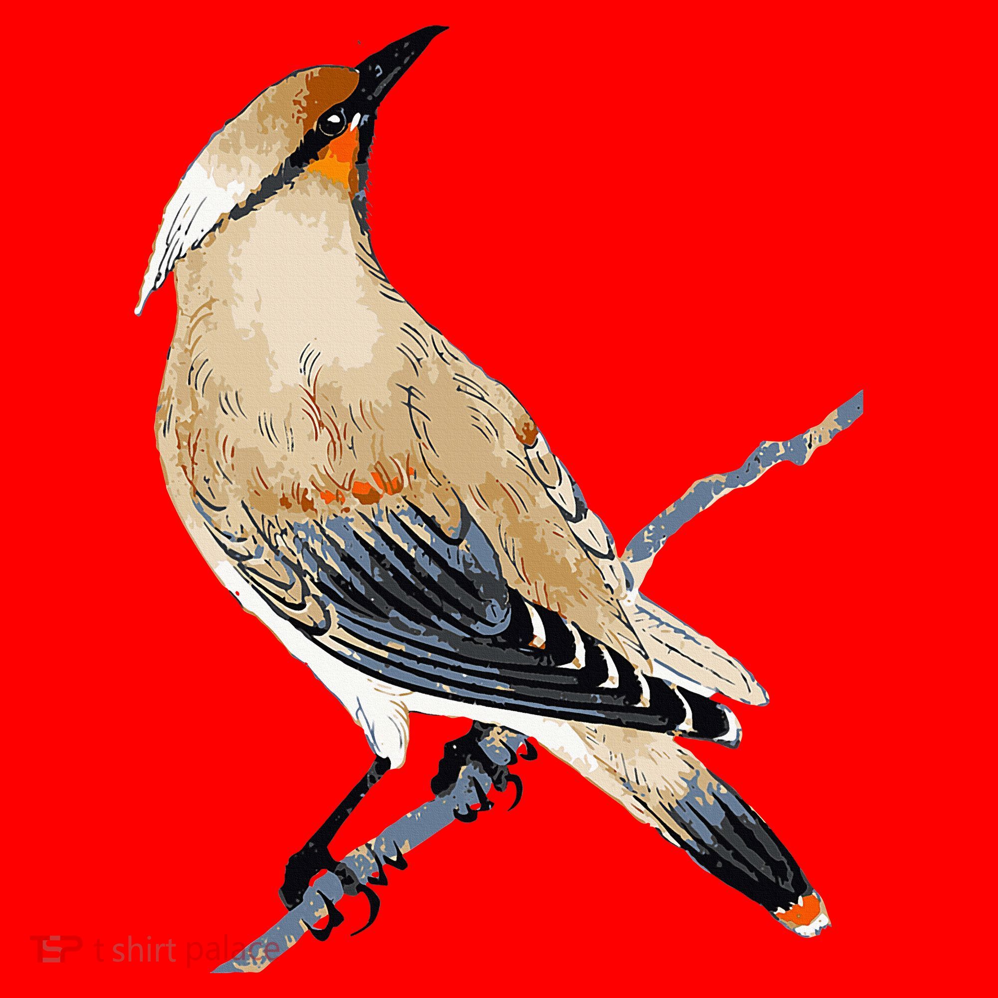 Cedar Waxwing Bird Ornithology Beautiful Songbird Santa Hat