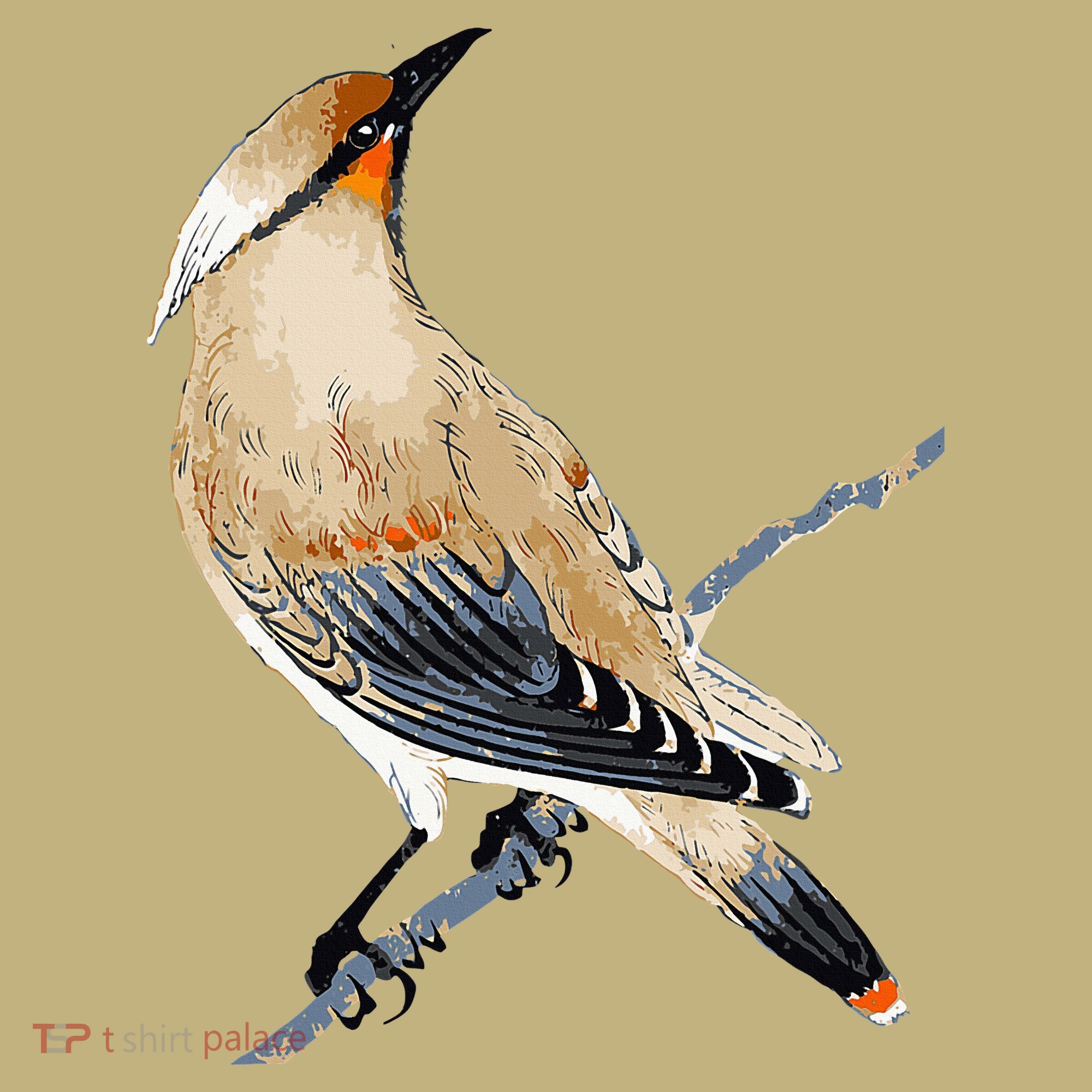 Cedar Waxwing Bird Ornithology Beautiful Songbird T-Shirt