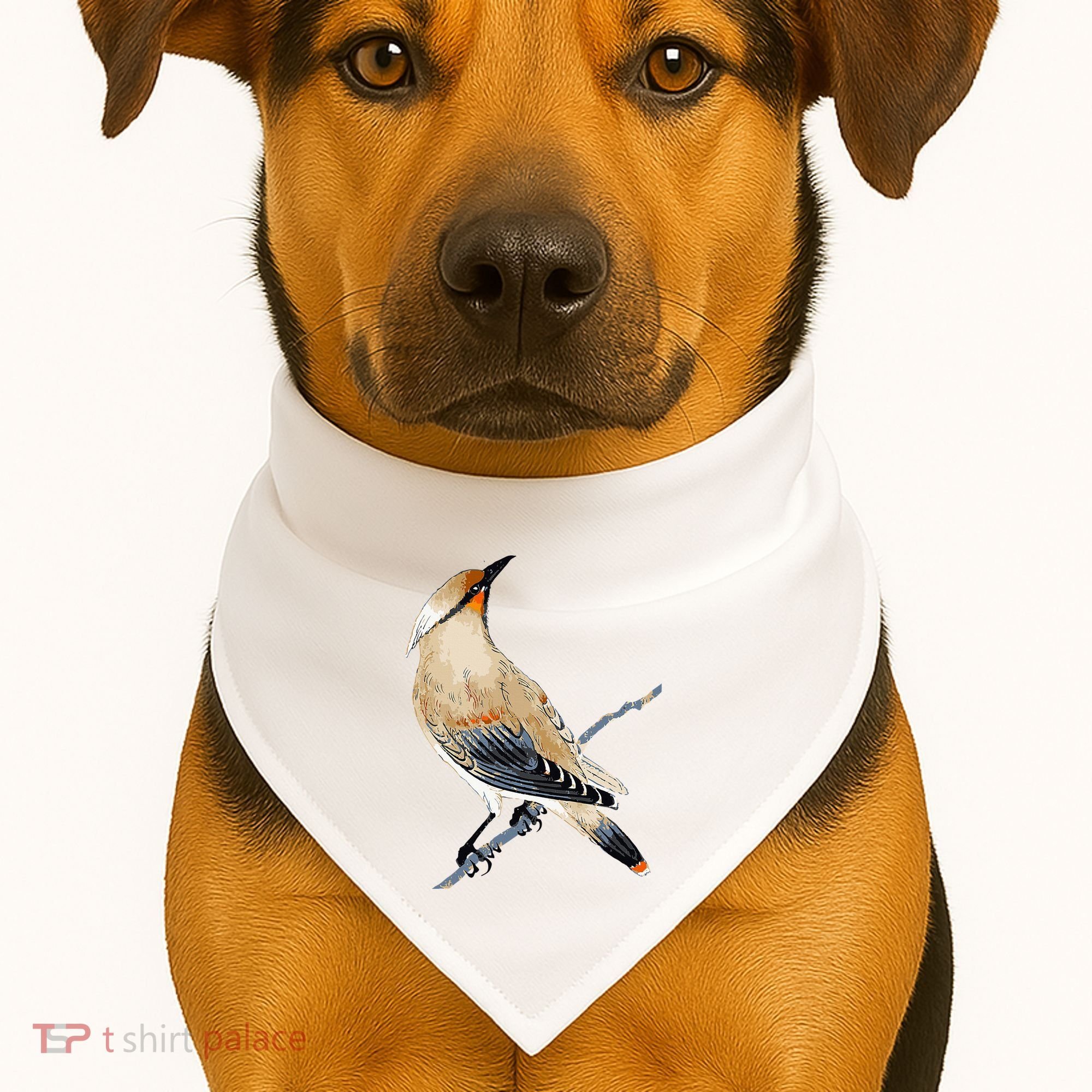 Cedar Waxwing Bird Ornithology Beautiful Songbird USA-Made Doggie Bandana