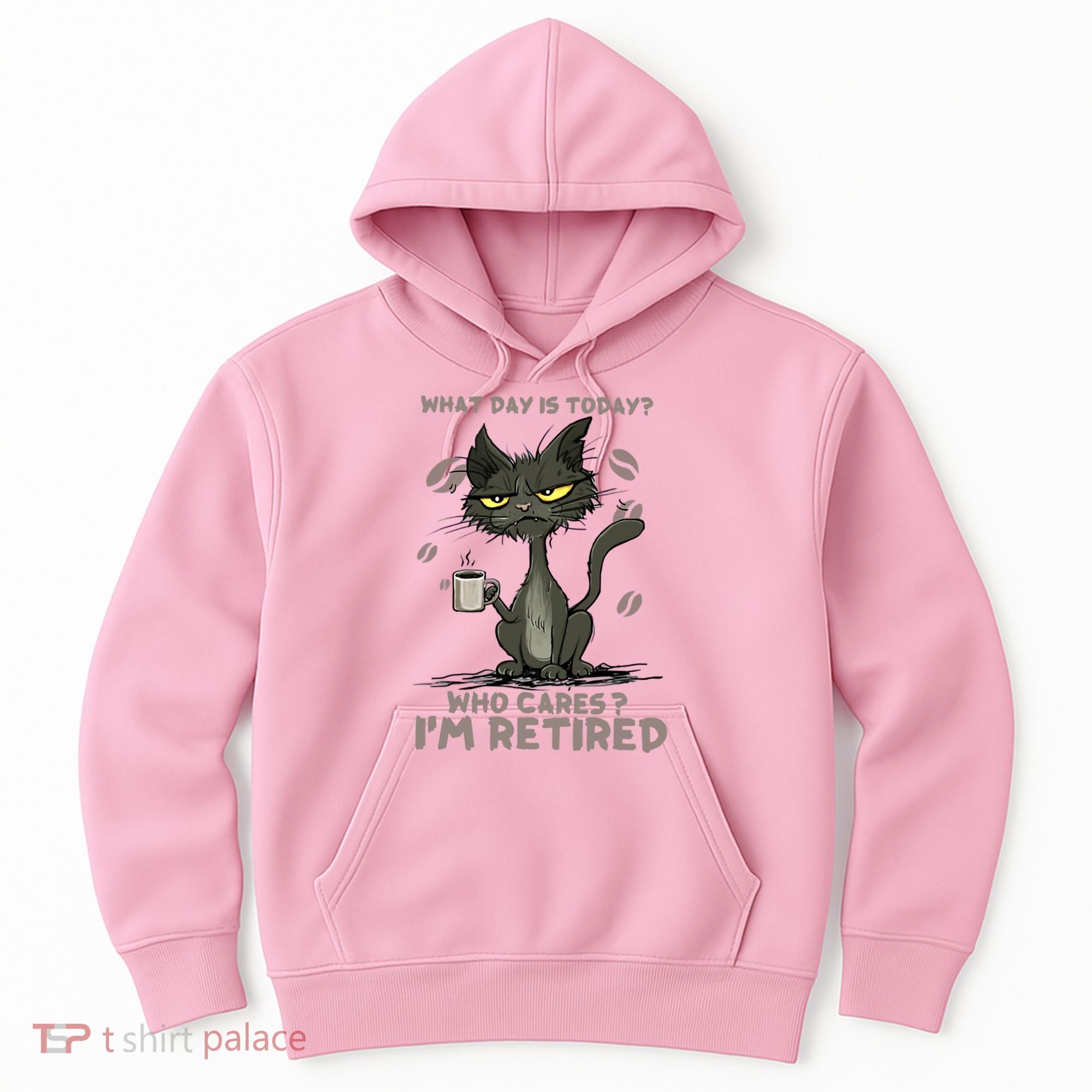 Cat What Day Is Today Who Cares I‘m Retired Hoodie