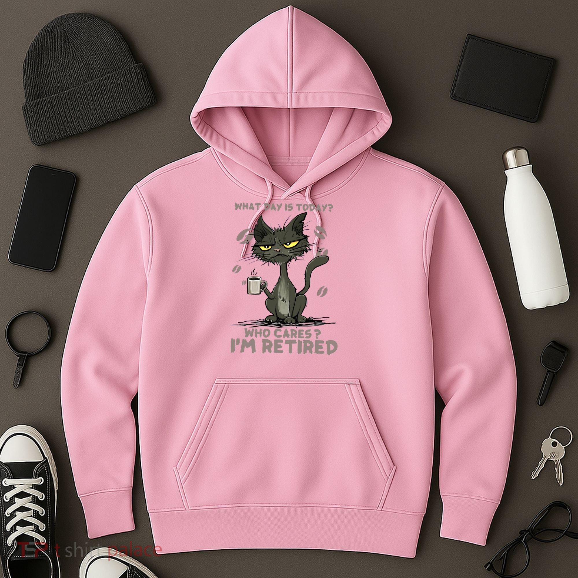 Cat What Day Is Today Who Cares I‘m Retired Hoodie
