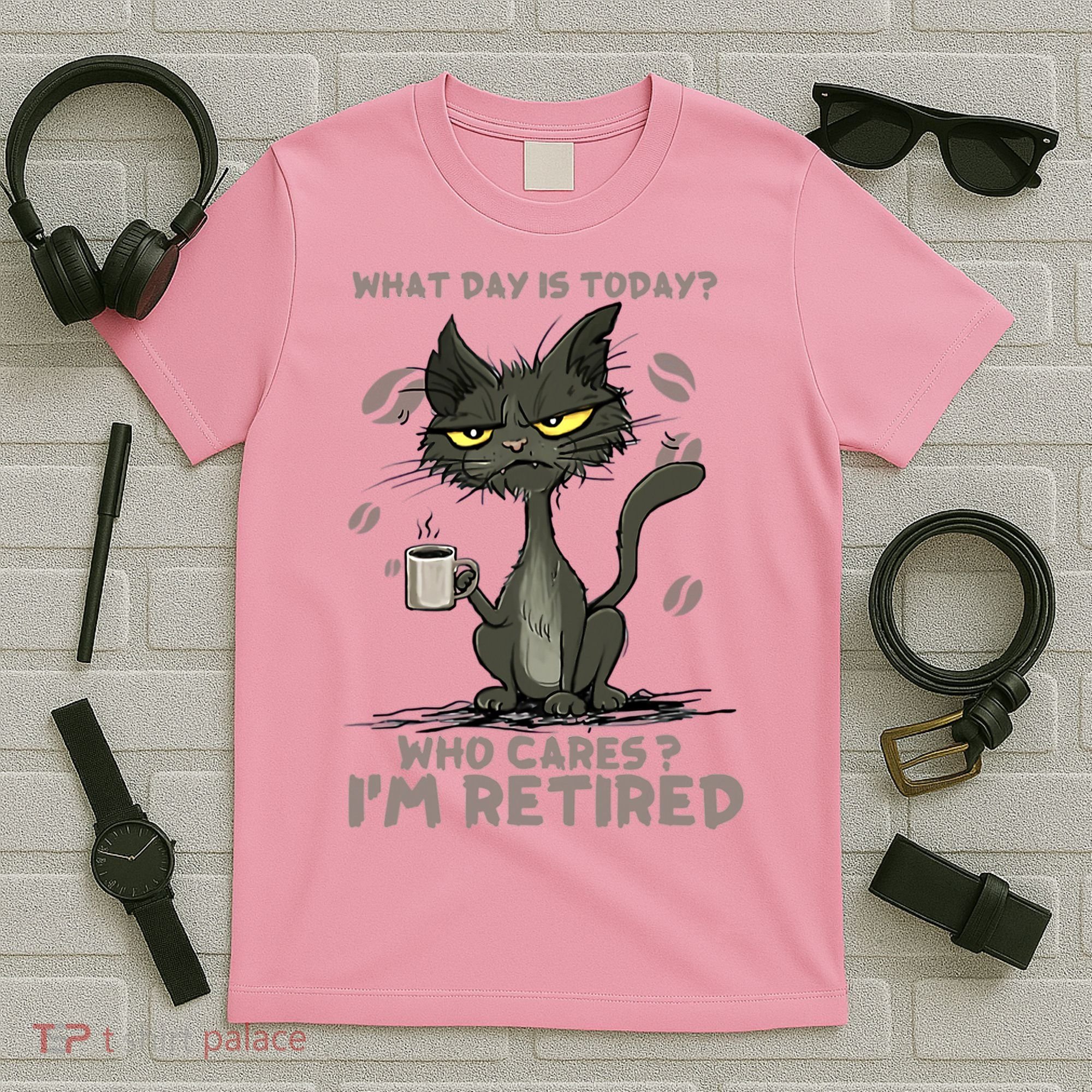 Cat What Day Is Today Who Cares I‘m Retired T-Shirt