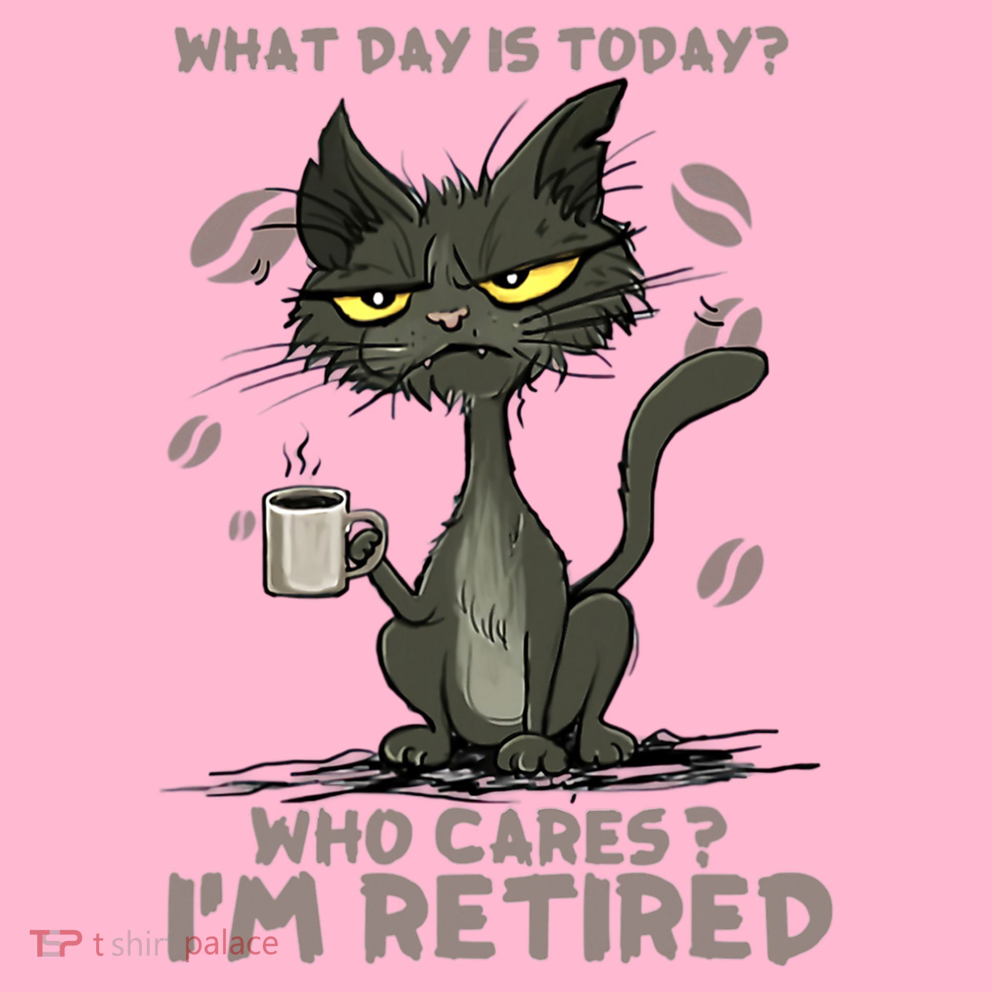 Cat What Day Is Today Who Cares I‘m Retired Women's T-Shirt