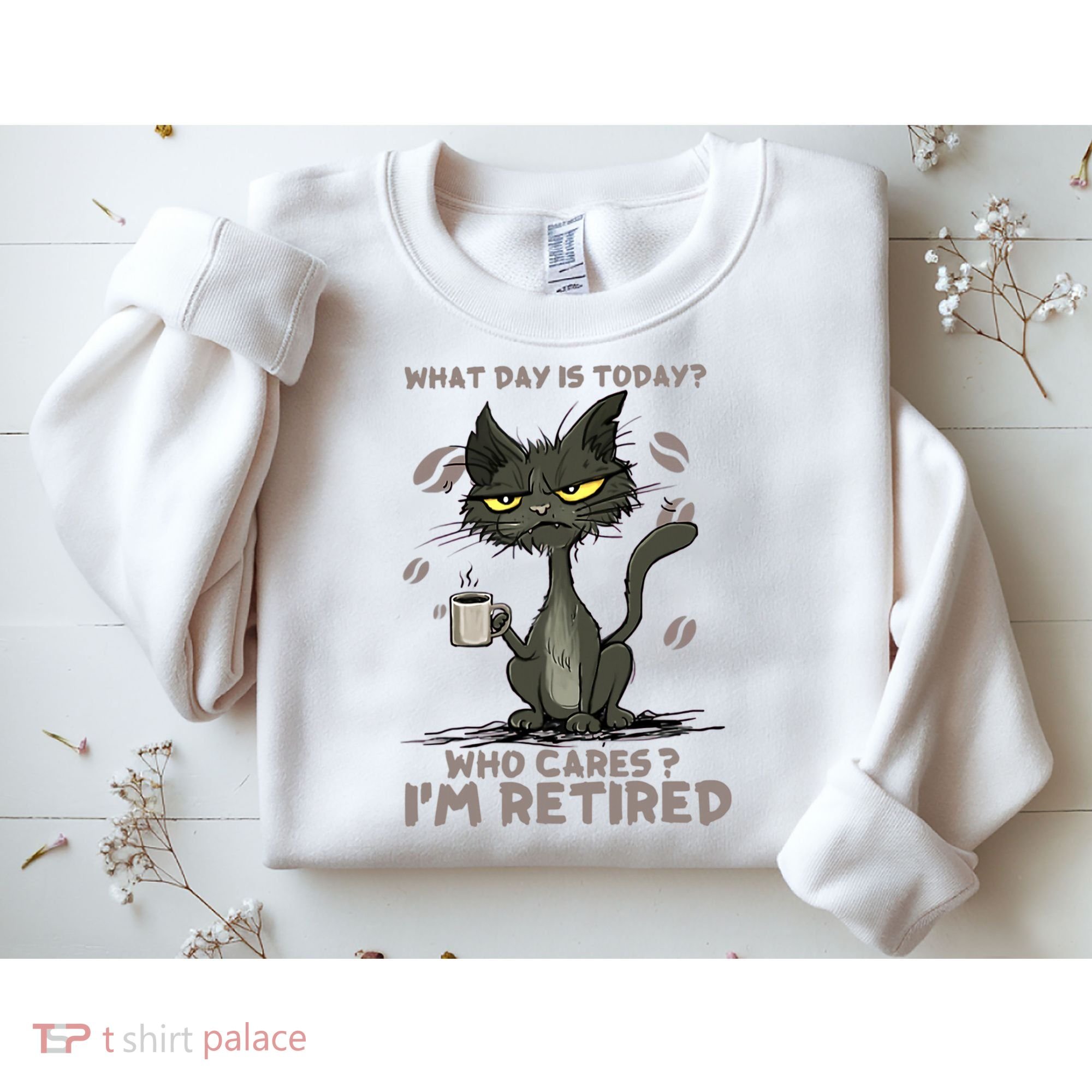 Cat What Day Is Today Who Cares I‘m Retired Sweatshirt