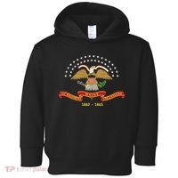 Civil War Era 20th Maine Volunteer Infantry Regiment Flag Toddler Hoodie thumb 0