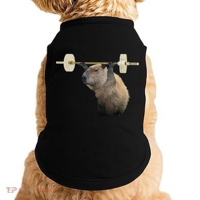 Capybara Weightlifting Funny Body Building Training Doggie Tank