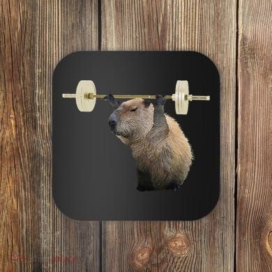 Capybara Weightlifting Funny Body Building Training Coaster