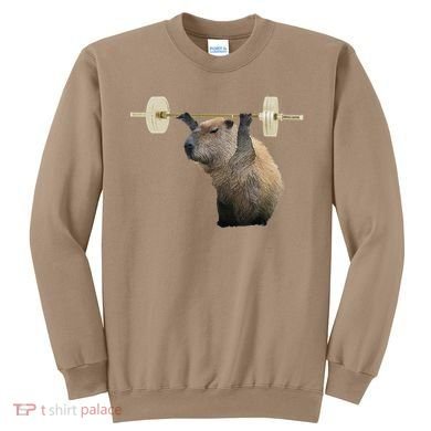 Capybara Weightlifting Funny Body Building Training Sweatshirt
