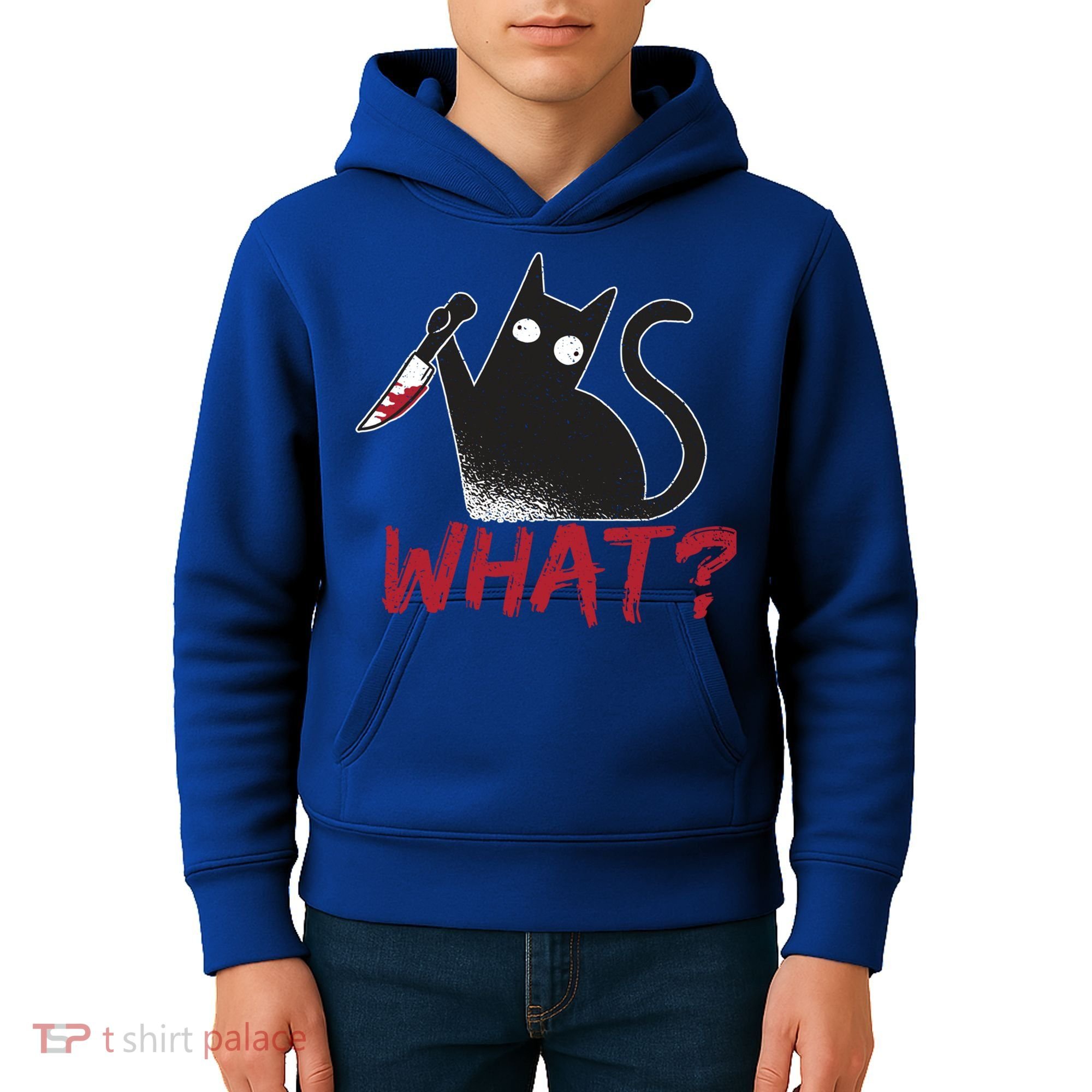 Cat What? Funny Black Cat Murderous Cat With Knife Cool Gift Kids Hoodie