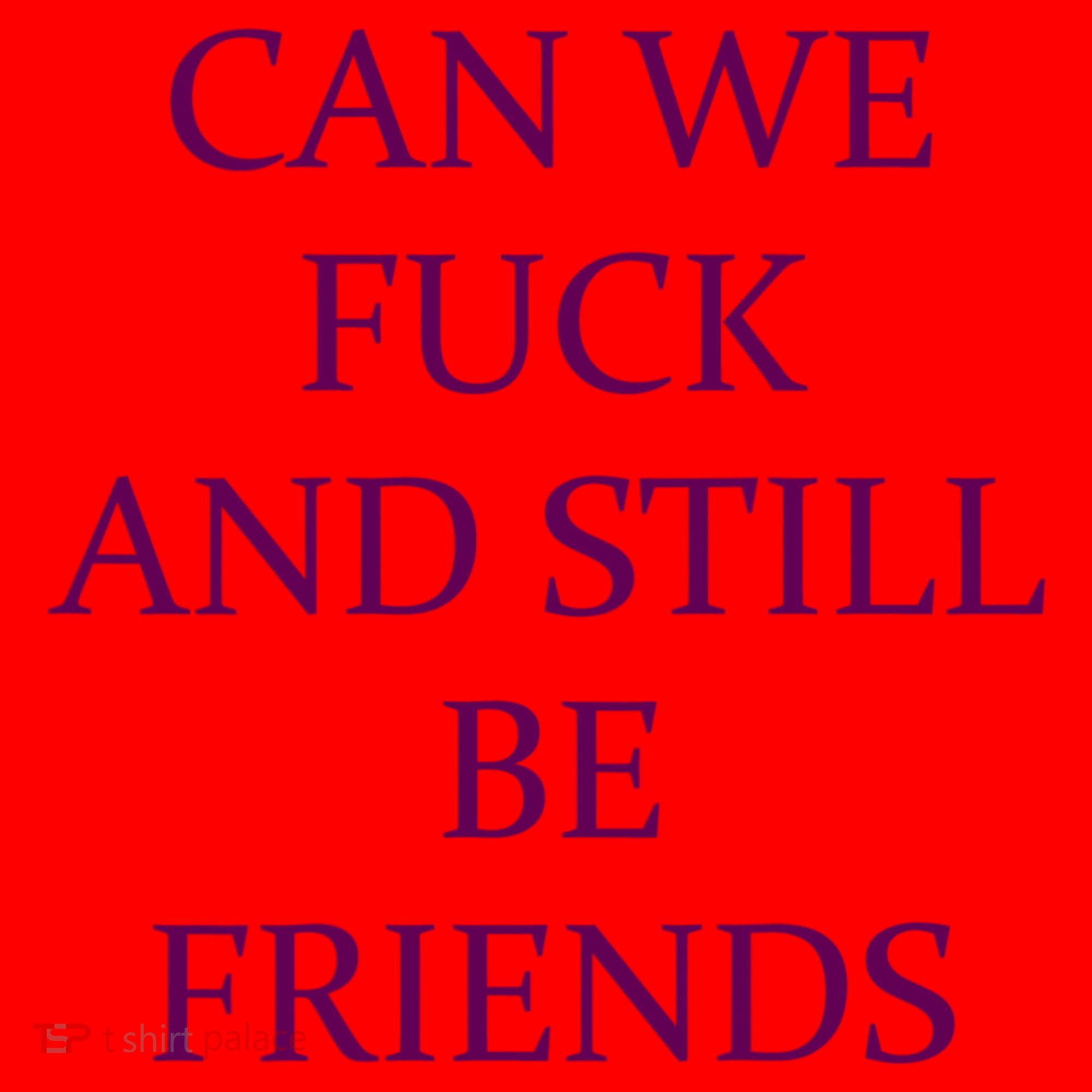 Can We Fuck Still Be Friends Funny Offensive Saying Quote Santa Hat