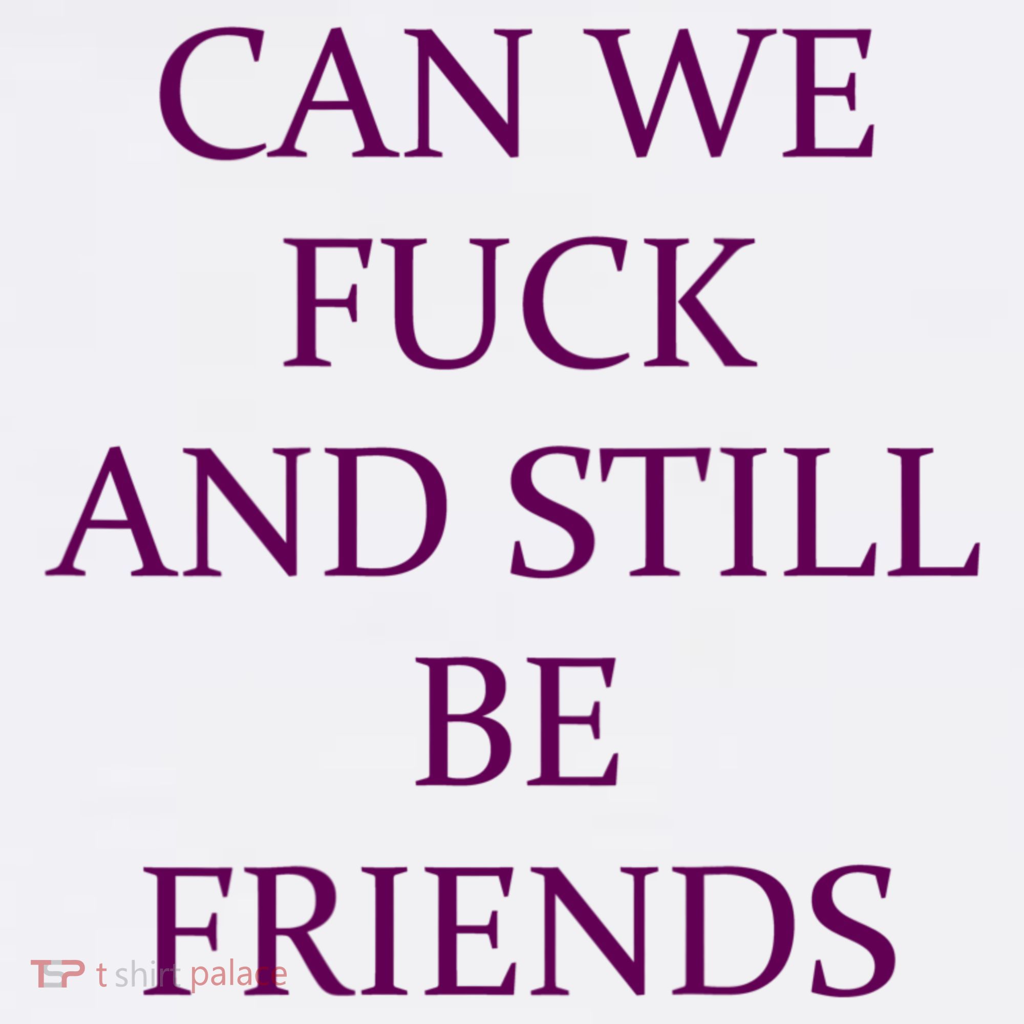 Can We Fuck Still Be Friends Funny Offensive Saying Quote Hoodie