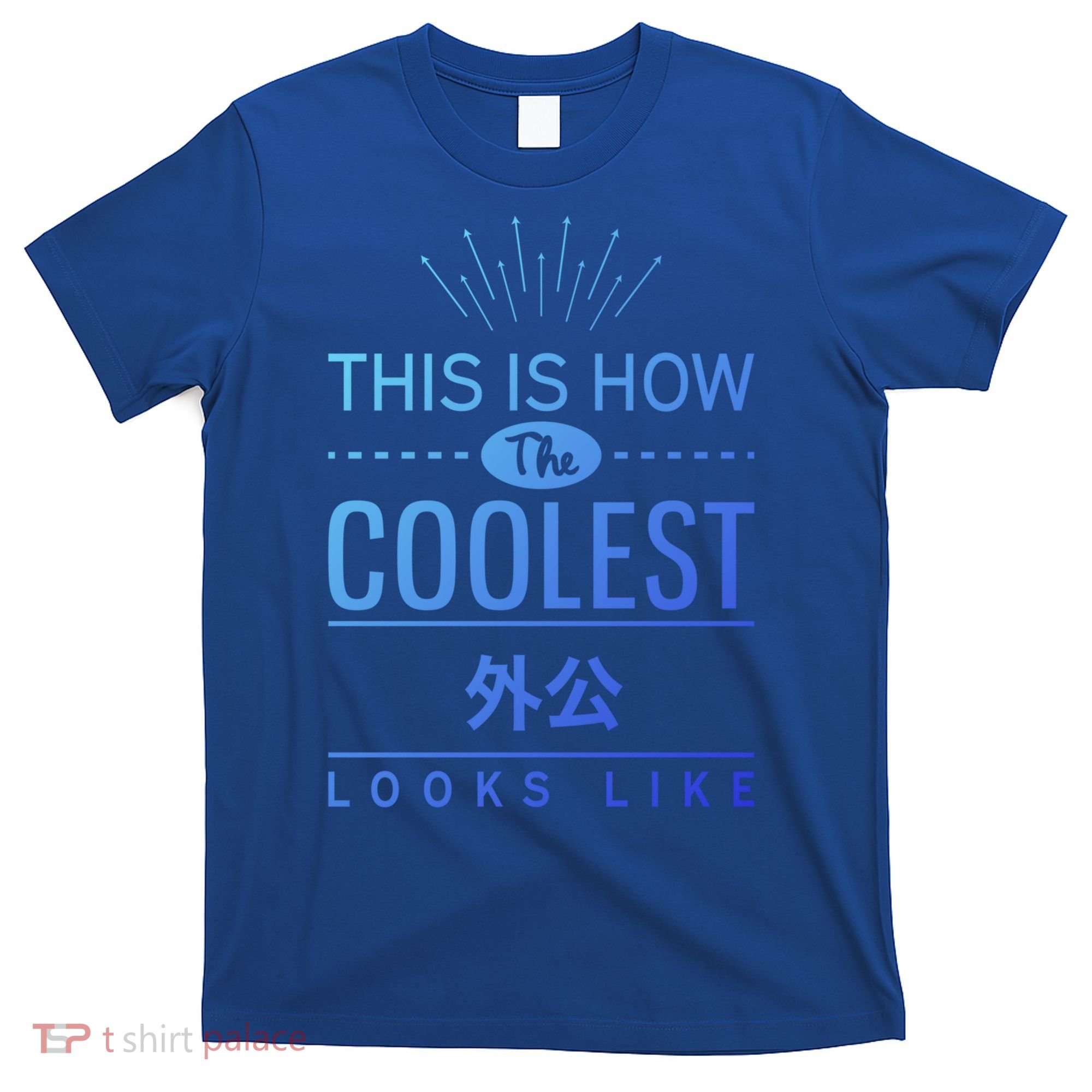 Coolest Wai Gong Chinese Grandpa Funny Gift From Grand Gift T-Shirt