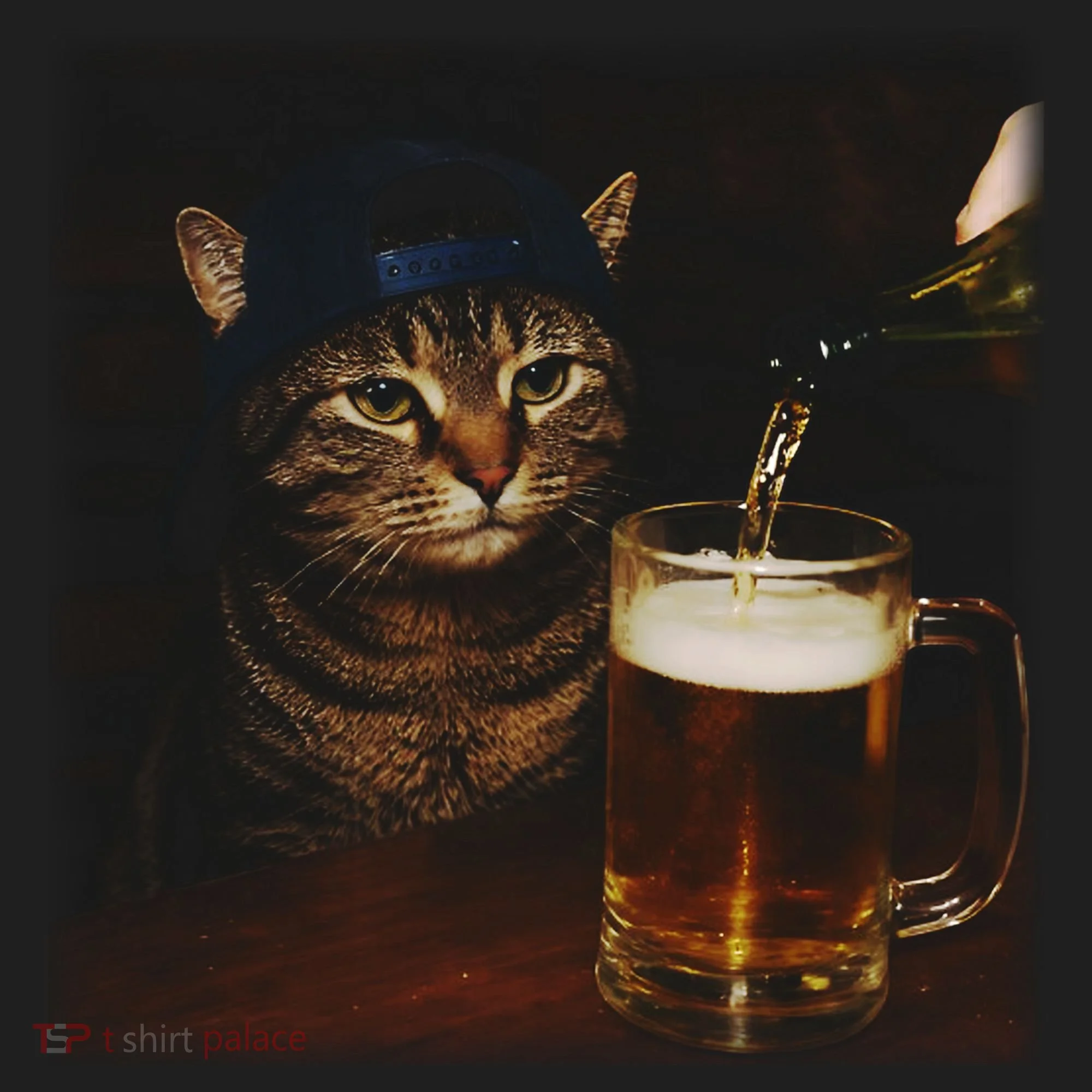 Cat Wearing Hat Getting Beer Poured Unimpressed Tabby Hat